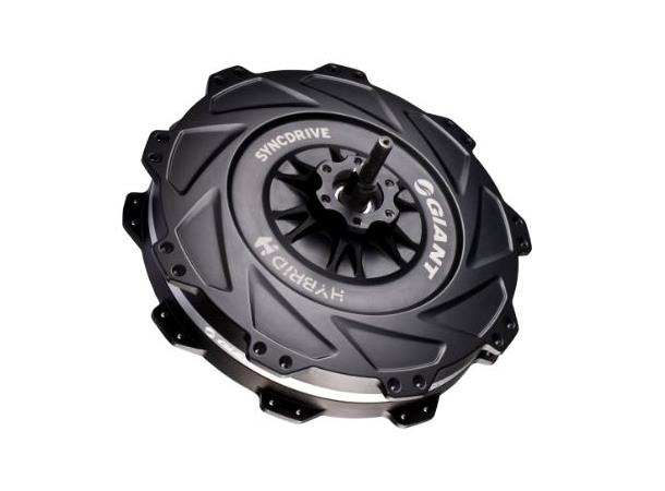 Giant E SyncDrive-R BLK Cass. type Ø198 40Nm 36V/250W 36H